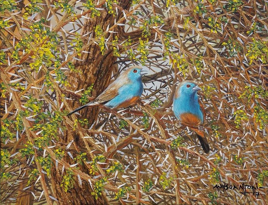 Waxbills in Thornveld - Oil on Canvas