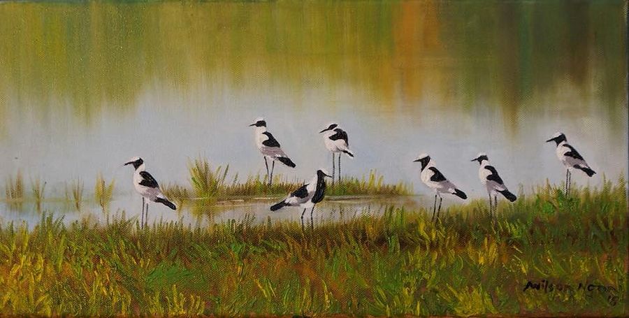 Wetland Chorus - Oil on Canvas, 2018