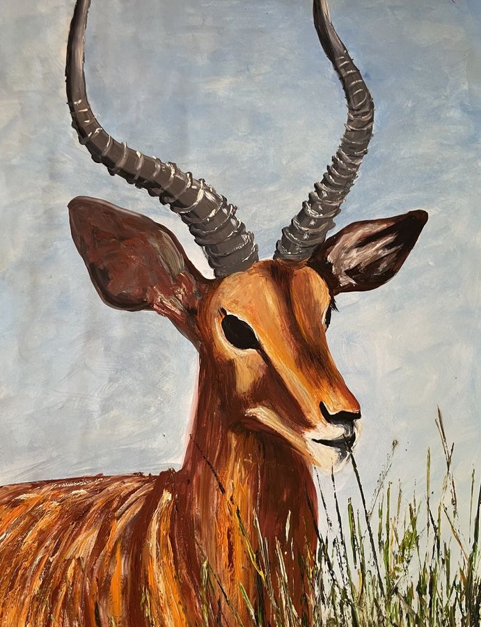 Impala Study - Oil on Paper