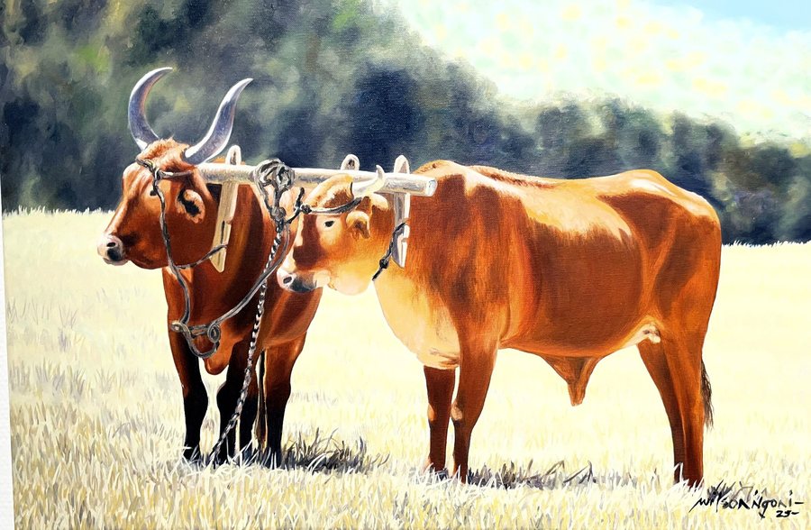 Dusty II — Wilson Ngoni exhibition work